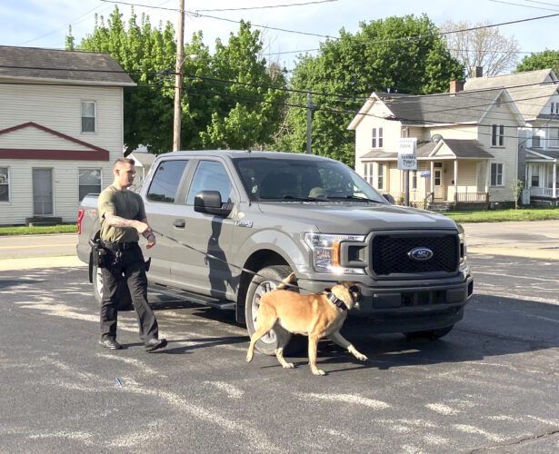 Students attend Law Day